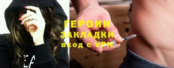 сатива Новодвинск
