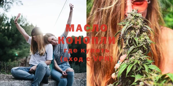 мет Новозыбков